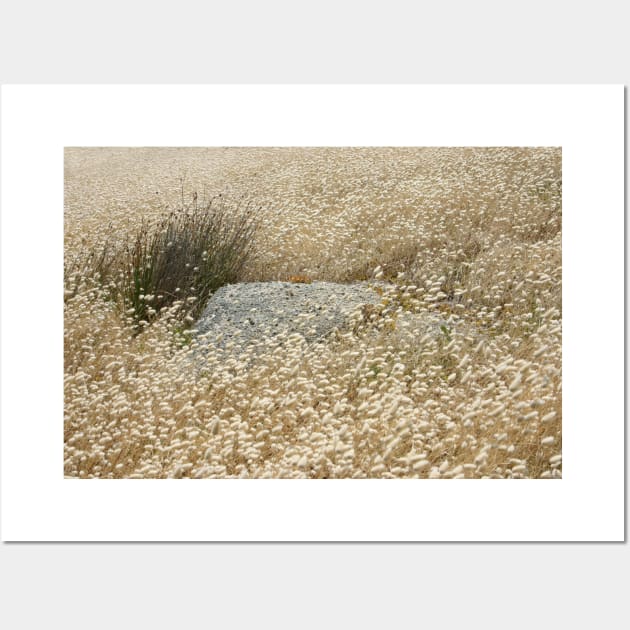 Grass tails among the granite Wall Art by jwwallace